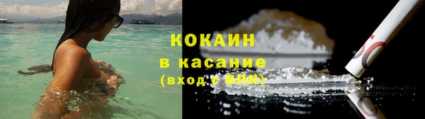 первитин Богданович