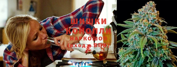 ПСИЛОЦИБИНОВЫЕ ГРИБЫ Бородино